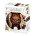 Prime 3D- Puzzle lenticulaire Harry Potter Fawkes 300 pièces (Effet 3D), HP33009, Multicolore