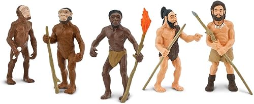 Miniatura 2 de Safari Ltd. Evolution of Man Set - Figuras de juguete educativas detalladas de la evolución humana - Colección realista de etapas de desarrollo
