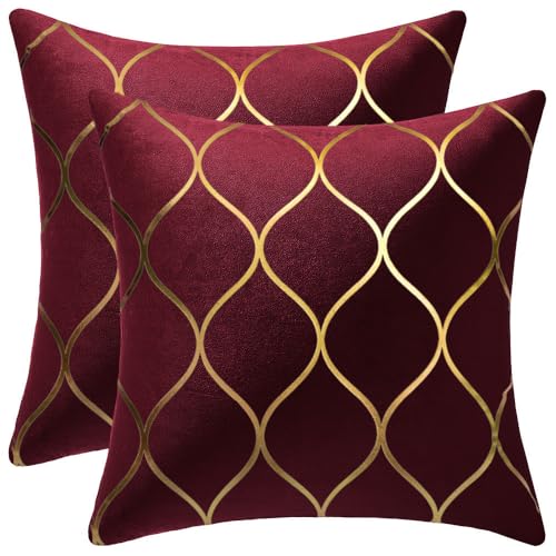 DEZENE Gold Velvet Throw Pillow Covers: 2 Pack 18x18 Inch