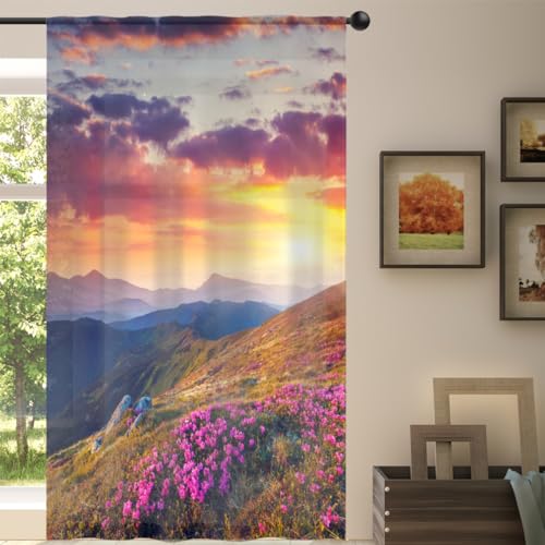 Rideau transparent 139 x 213 cm, motif floral d'été, paysage de montagne, voilages de fenêtre pour salon, chambre à coucher, cuisine, salle à manger