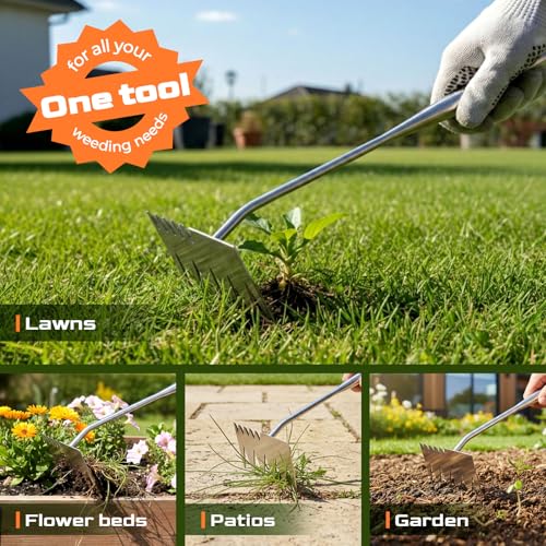 LOOHOI Hand Weeder Tool