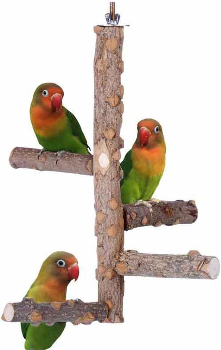 Stojak z naturalnego drewna, klatka dla papug, drewniane gałęzie stojące zabawki dla małych średnich papug Conure Budgie Lovebirds