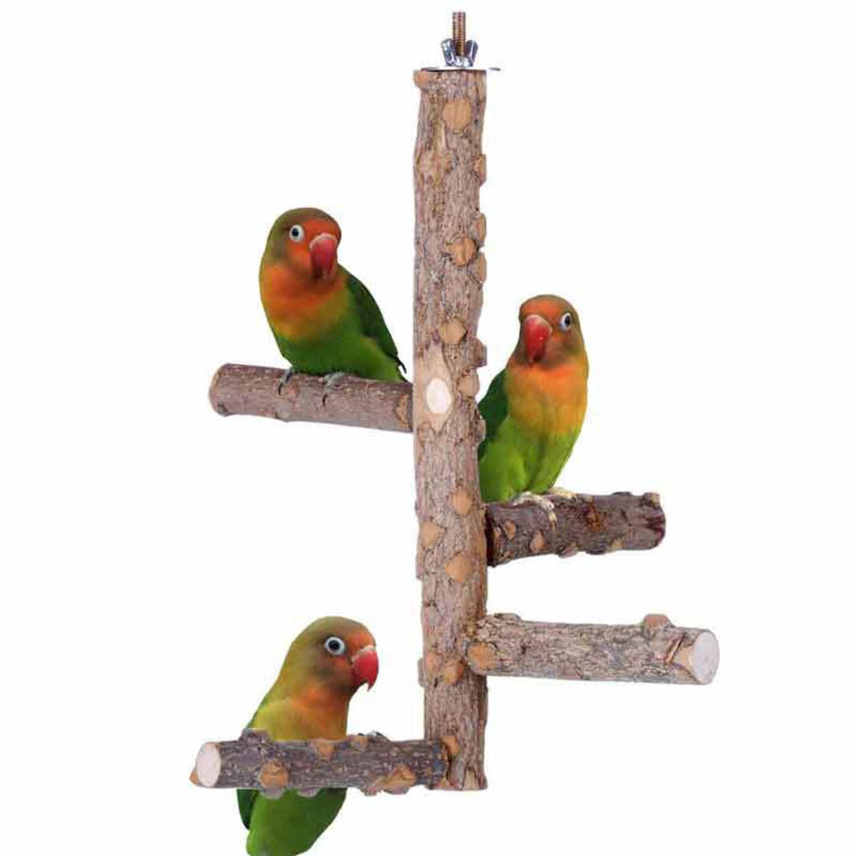 Stojak z naturalnego drewna, klatka dla papug, drewniane gałęzie stojące zabawki dla małych średnich papug Conure Budgie Lovebirds