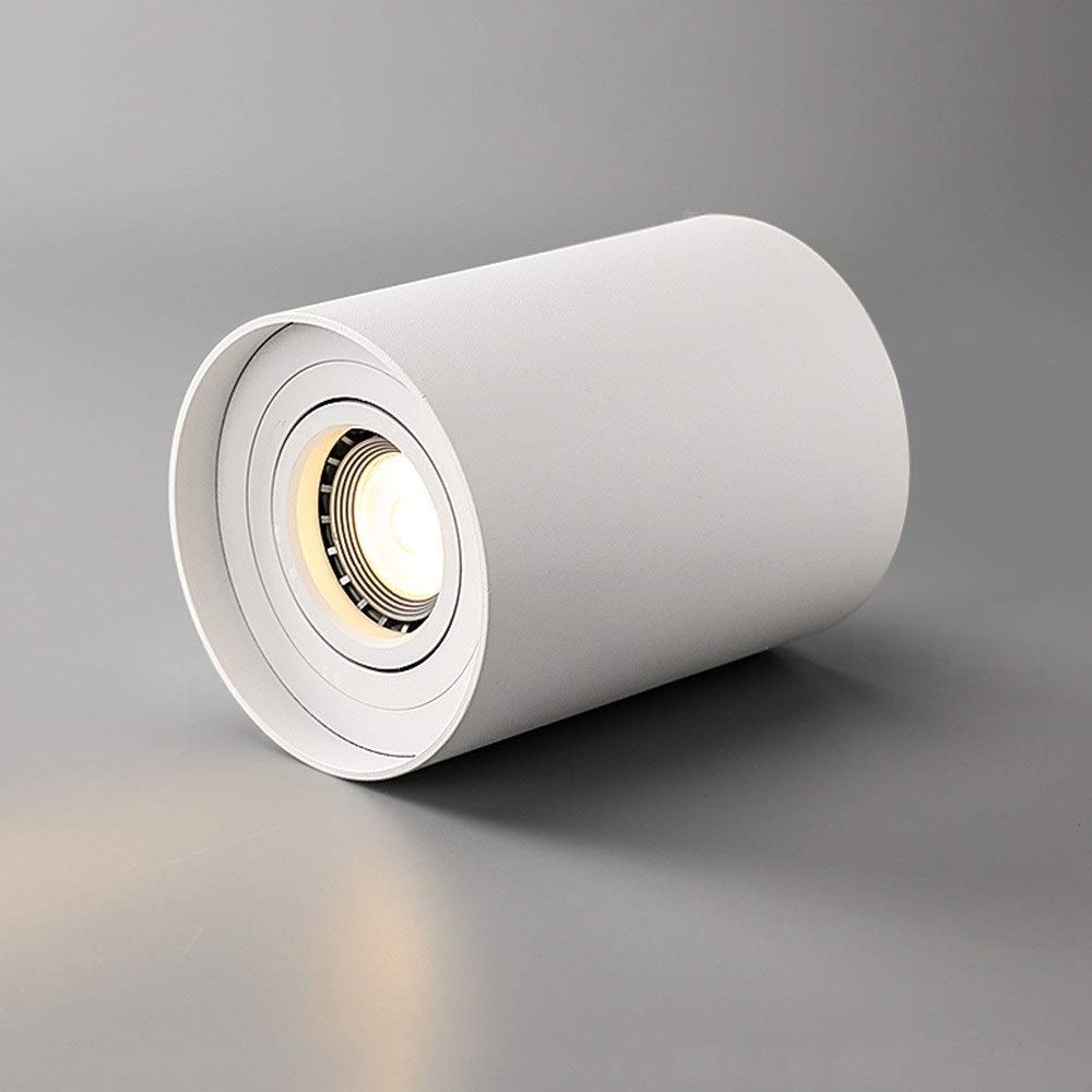 BHGFYXBS 5W/10W 360° Rotatable Led Ceiling Spot Lamp Nordic Surface Mounted Office Spotlight 3000/4000K Cylinder Adjustable Ceiling Panel Lights Commercial Energy Saving Lighting,Whitewarm Light-10w