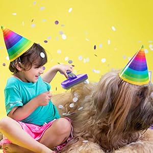 Hertzko-Self-Cleaning-Slicker-Brush-for-Pets-Dog-Cat-Brush-Dog-Brush-for-Shedding-Cat-Dog-Grooming-Grooming-Brushes-for-Long-Short-Haired-Dogs-Cats-Deshedding-Brush-Rake-Comb - Cucciolini Doodles Hertzko-Self-Cleaning-Slicker-Brush-for-Pets-Dog-Cat-Brush-Dog-Brush-for-Shedding-Cat-Dog-Grooming-Grooming-Brushes-for-Long-Short-Haired-Dogs-Cats-Deshedding-Brush-Rake-Comb