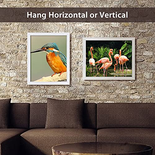 Image of VCK 16x20 Frames 3 Pack, White Poster Frame MDF Wood with Polished Plexiglass, Wall Mounting Horizontal & Vertical Display