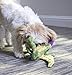 goDog Dinos Pterodactyl With Chew Guard Technology Tough Plush Dog Toy, Green, Small