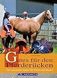 guter sattelgurt  Gutes für den Pferderücken: Der passende Sattel für Pferd und Reiter (Cadmos Ratgeber)
