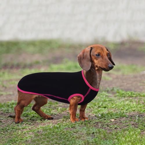 Lelepet Hundeshirt für Dackel, Hund Sommer T-Shirt Weiches Hundehemd, Atmungsaktives Dackel Hunde Shirt, Dehnbare Dackelkleidung, Leichter Hundepullover Shirt, Schwarz M