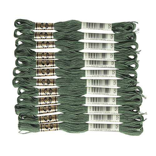 Image of DMC 6-Strand Embroidery Cotton Floss, Dark Fern Green