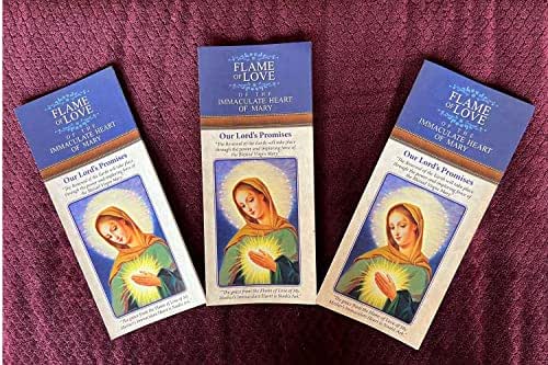 Amazon.com: Flame of Love Promises Trifold 3 Pack : Home & Kitchen