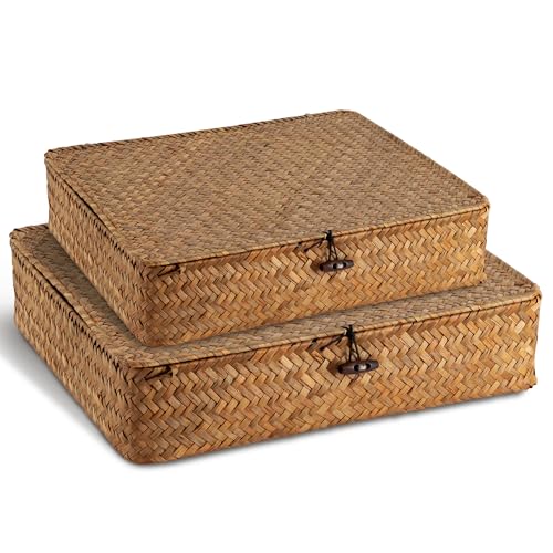 2 Pcs Lidded Seagrass Baskets, Boho Rattan Closet & Makeup Organizer