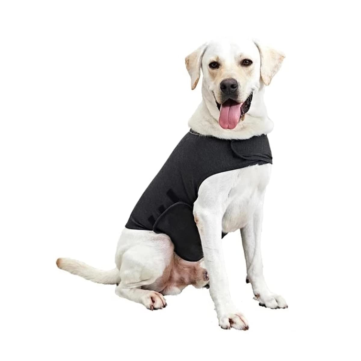 Manteau anti-anxiété pour chien avec enveloppe apaisante confortable intégrée