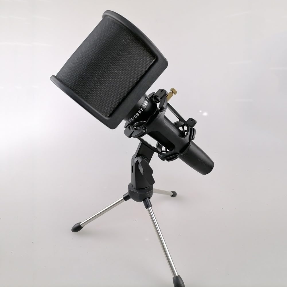 Filtro microfono per registrazione in studio, diametro da 45 mm a 61 mm, in schiuma e rete metallica con strato di etilammina, argento/nero