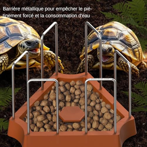 Wasserschale für Schildkröten, Wasserbehälter für Eidechsen und Spender | Fütterungszubehör für Reptiliengehege Eidechsen Schlangen Krabben-5