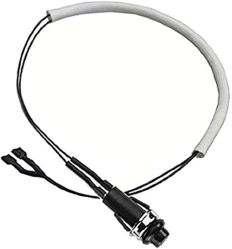 Weber #69871 Botón de encendido de espíritu