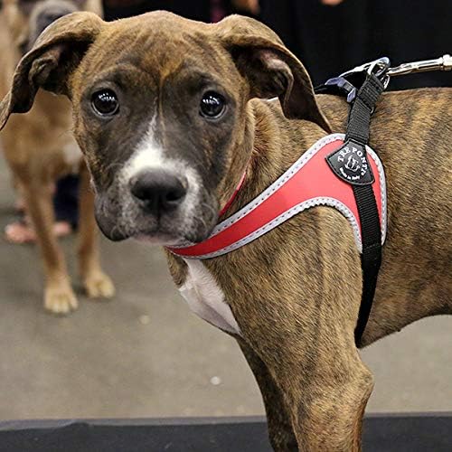 tre ponti harness amazon