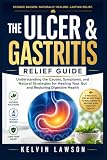 THE ULCER & GASTRITIS RELIEF GUIDE: Understanding the Causes, Symptoms, and Natural Strategies for Healing...