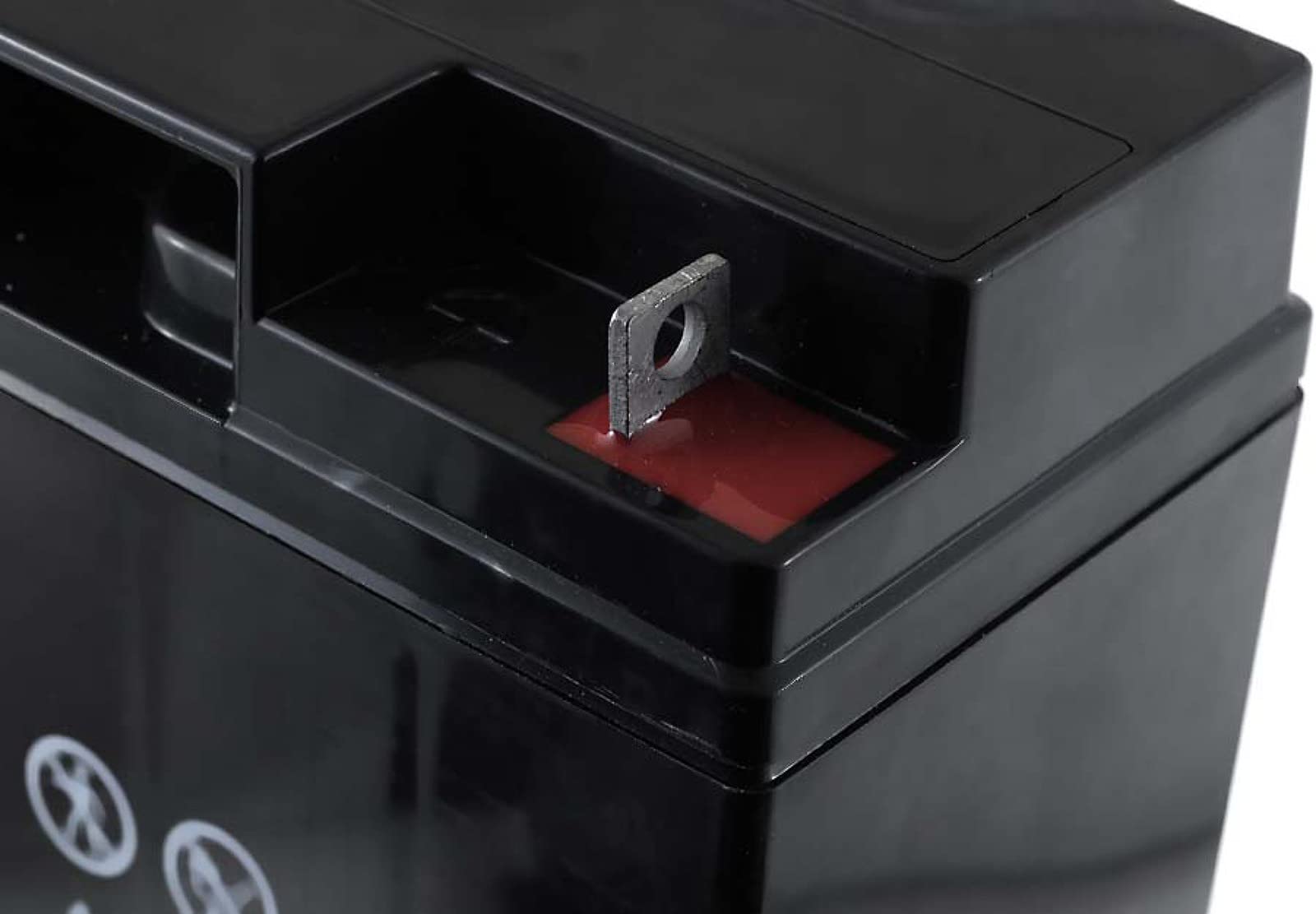 FIAMM Batteria Ricaricabile al Piombo 12FGH65 (Resistente a Corrente Alta)