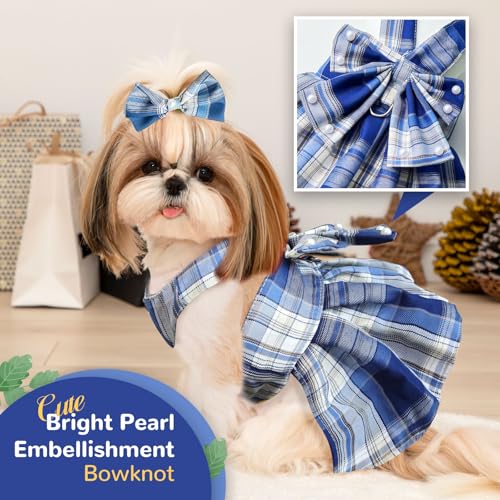 Robe bleue pour chiot Shih Tzu résolvant le problème de traction au cou