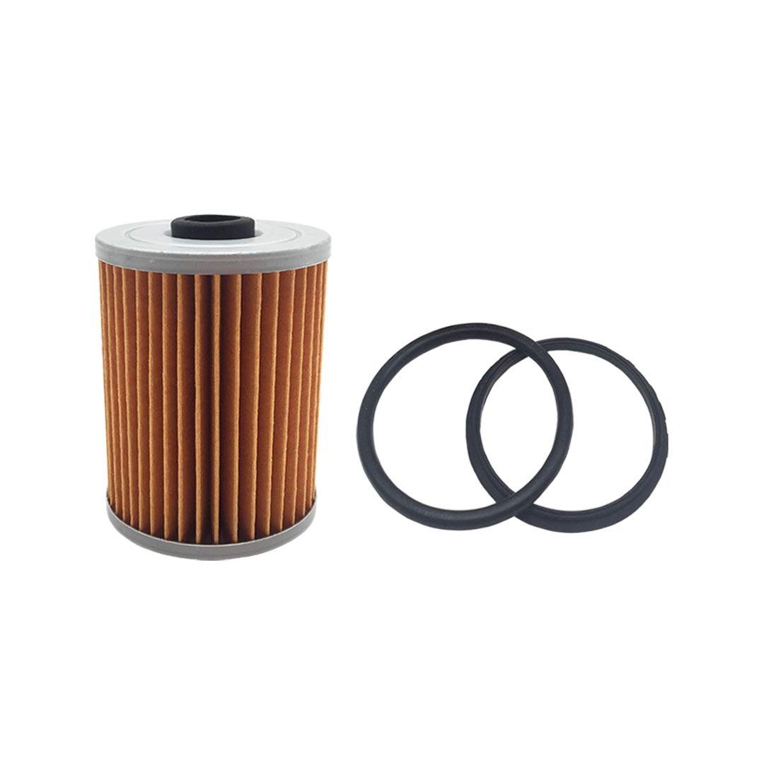 Amazon.com: 2 Pcs 35-8M0093688 35-866171A01 Fuel Filter for 