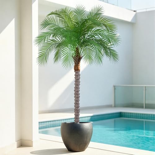 Image of 6ft Artificial Phoenix Palm Tree, Faux Coconut Silk Tropical Fake Palm Plant for Indoor Outdoor Home Office Patio Bathroom Pool Coastal Decor(Set of 2)