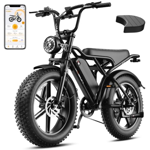 Jasion RetroVolt Fat Tire