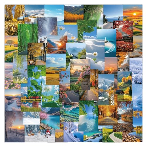 75Zbg i i`V[Y gxe[} hXP[vX^C tHgOtB[fUC XebJ[ V[ h   lC fJ[ XP[g{[h ו X[cP[X M^[  X}zP[X XP{[ Xm{ m[