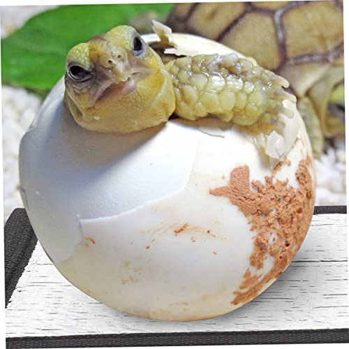 Kisangel 4pads calefactores reflectantes para reptiles miniatura 3