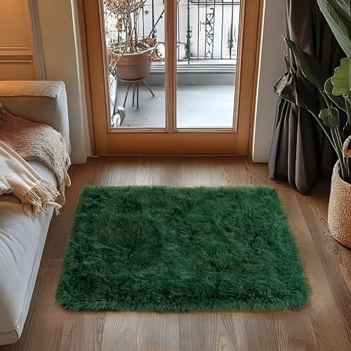 Small Area Rug, 2x3 Rug for Bedroom Shaggy Throw Rugs for Dorm Rug, Soft Shag Carpet for Kids Room, Plush Comfy Fluffy Bedside Rug for Home Decor Aesthetic, Blackish Green