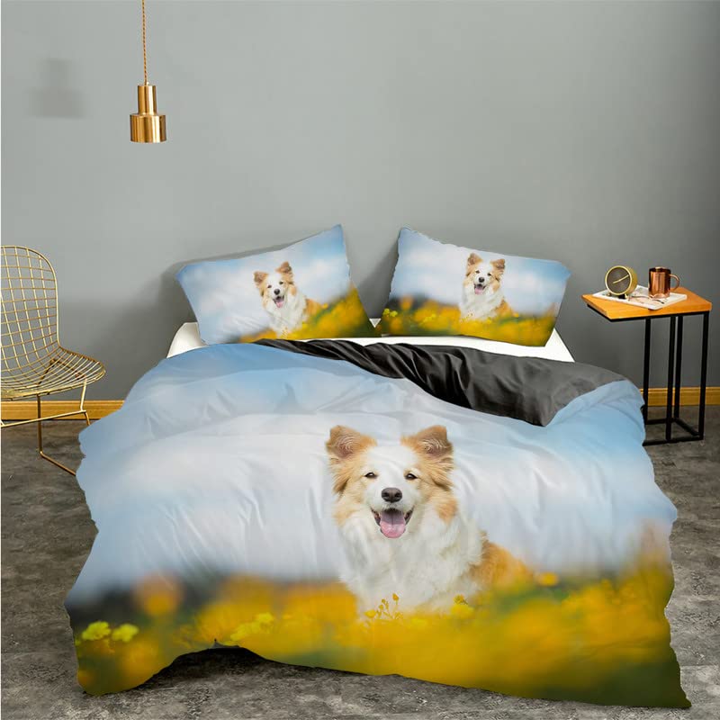 Housse de couette 240 x 260 corgi bleu lit double adulte microfibre