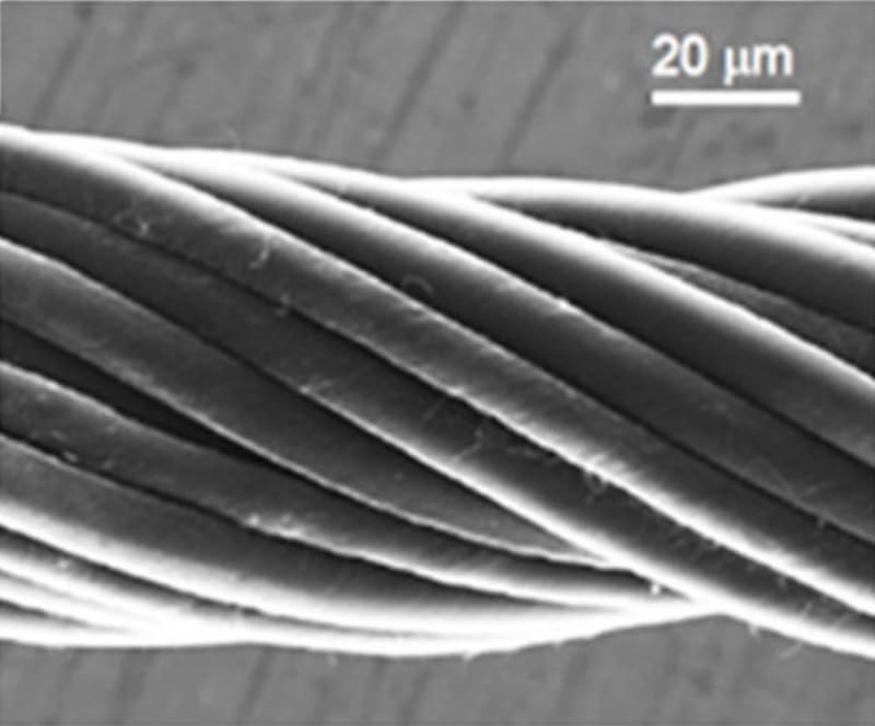 3,28 Fuß Kohlenstoff-Nanoröhren-Faserdraht – 60 µm Durchmesser, hohe Leitfähigkeit, anpassbares Verbrauchsmaterial for Laborforschung, 1 Stück