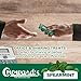 Choward's Spearmint | Unique Aromatic Flavors for Everyday Freshness | Perfect for Travel, Sharing, and Gifting | Distinctive Taste in Convenient Packaging | Pack of 24 (15 Mints Per Package, 24 Packages Per Box)