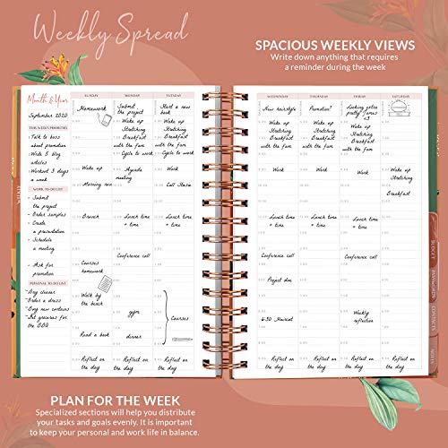Image of PLANBERRY Hourly Schedule Planner Premium - Undated Weekly Organizer with Time Slots & Monthly Budget - Time Management, Goal Setting, To-Do List & Habit Tracker -6.9″x8.5″(African Terracotta)