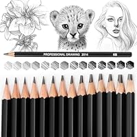 Blendura Lápices Dibujo Profesional, 14 Unidades Dibujo Lapices,