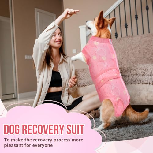 Image of Lukovee Recovery Suit for Dogs, Female Male Spay Neuter Post Surgery Suit | Zipper on Onesie,Soft Breathable, Adjustable Abdominal Wounds Prevent Licking, Cone E-Collar Alternative (Pink Strawberry,XL)