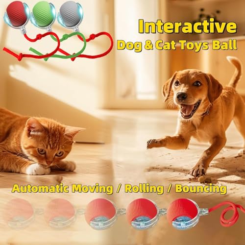 Pet Smart Chase Ball,Balle Interactive Pour Chien,Interactive Dog Toys,360° Smart Automatic Rolling Ball Toy Dog Toys for Dog/Cat(Red) - Image 3