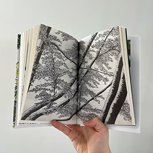 Tree Stories: How trees plant our world and connect our lives