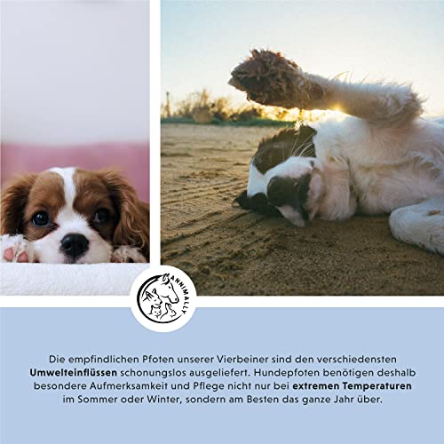 Annimally Pfotenbalsam Hund 50g - Pfotenschutz Hund und Pfotenbalsam Katze mit Bienenwachs, Sheabutter & Ringelblumenöl - Pfotensalbe für die Pfotenpflege Hund im Winter & Sommer - Hundepflege