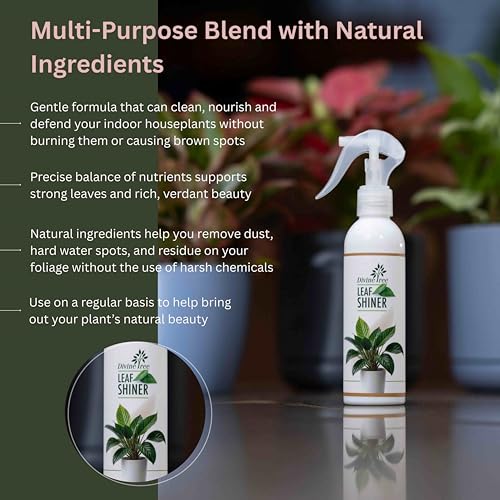Image of DIVINE TREE Leaf Shiner Spray for Indoor & Outdoor Plants 500ml | Natural Leaf Shine & Cleaner | Ready-to-Use Non-Toxic, Eco-Friendly Foliar Formula for Glossy Green Leaves & Healthy Plant Care