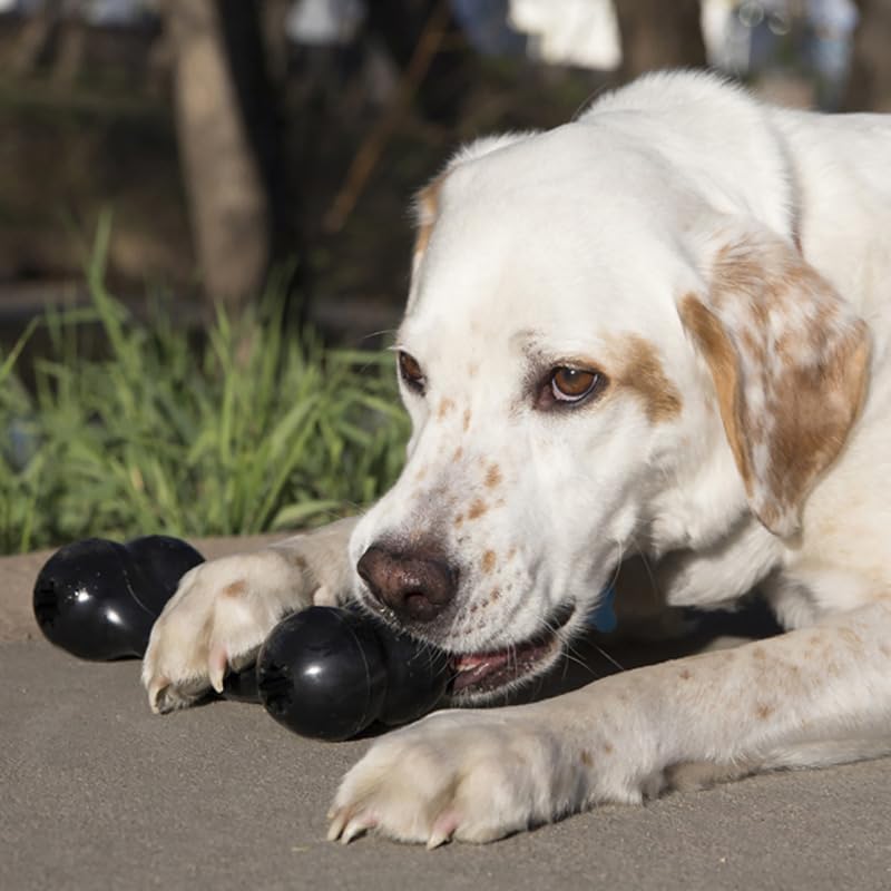 KONG Extreme Goodie Bone Medium 2-Pack - Ultra-langlebiges Hundespielzeug aus Gummi für Power-Kauer - Robustes Kauspielzeug für mittelgroße Hunde - Schwarz