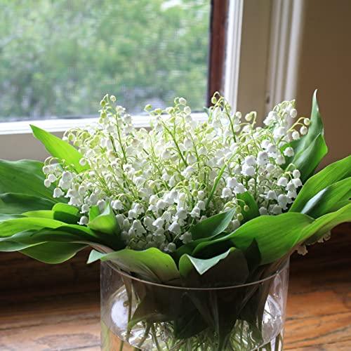 Künstliche Frühlingszwiebeln - Realistische Deko Zwiebeln Für Küche & Wohnung