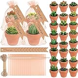 MTLEE 24 Pcs Succulent Tealight Candles - Wedding Party Baby Shower Valentines Gifts Birthday Pack with Terracotta Pot, Organza Bag, Tags, Twines