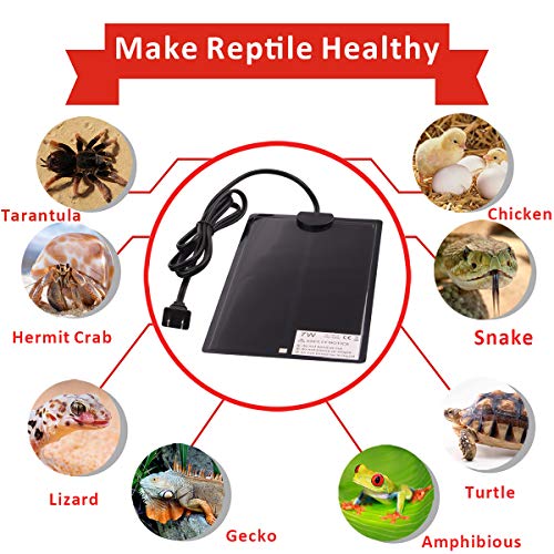 Aiicioo Upgrade Reptile Heat Mat with Thermostat - Adhesive Removable Under Tank Heat Mat Temperature Adjustable for 10-20 gal Tank Reptiles Amphibians Hermit Crab Snake Lizard - Thumbnail 4