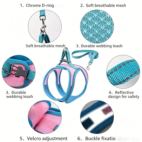 Escape Proof Cat Harness and Leash, Cat Collars, Harnesses & Leashes, Escape-Proof Cat Harness Set, Adjustable Step-in Pet Harness for Walking for Small Medium Cats/Dogs (Blue, L) - Image 7