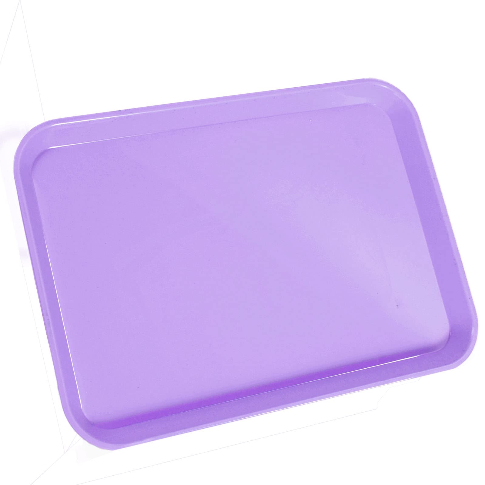 1Pcs Autoclavable Dental Procedure Tray Lockable Set up Flat Trays Size B (Ritter),Plastic Instrument B-Lok Flat Trays, 13.25 x 9.75X 0.875 Inches (1,