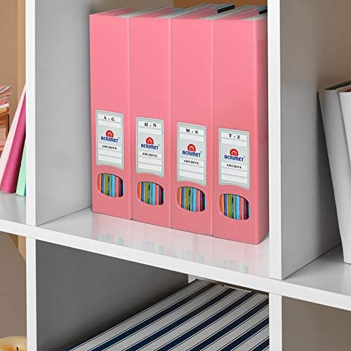 ACRIMET Magazine File Holder Rack Organizer (Plastic) (Solid Pink Color) (2 Pack)