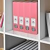 Amazon.com: Acrimet Magazine File Holder, Durable Rack, Space-Saving ...
