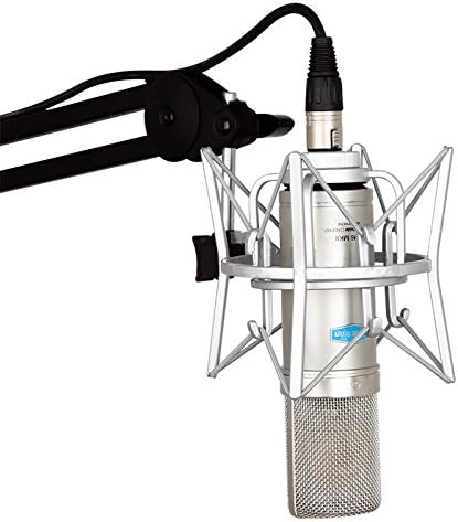 Alctron Large Gold-Plated Diaphragm CM6 Professional FET Cardioid Condenser Microphone for Computer Studio Recording Broadcast,bass
