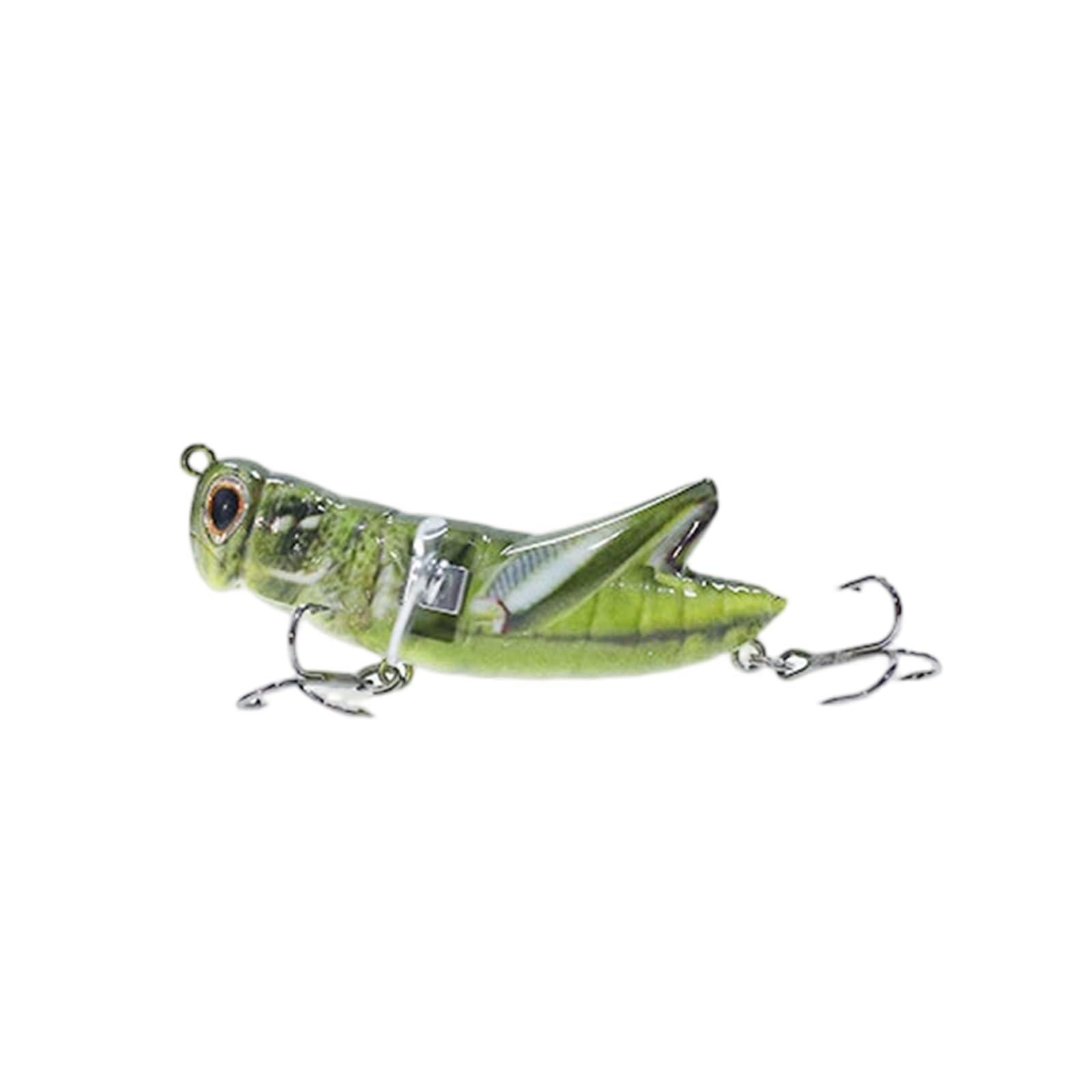 QIAOLIDA Professional 3D Eye Fishing Lures With Realistic Swimming Action Sea Fishing Tackles Artificial Crickets Baits